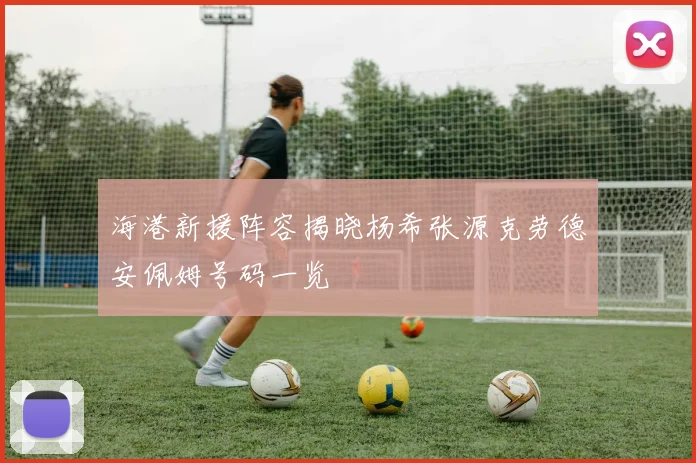 海港新援阵容揭晓杨希张源克劳德安佩姆号码一览