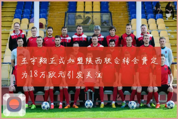 王宇翔正式加盟陕西联合转会费定为18万欧元引发关注