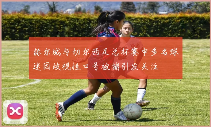 赫尔城与切尔西足总杯赛中多名球迷因歧视性口号被捕引发关注