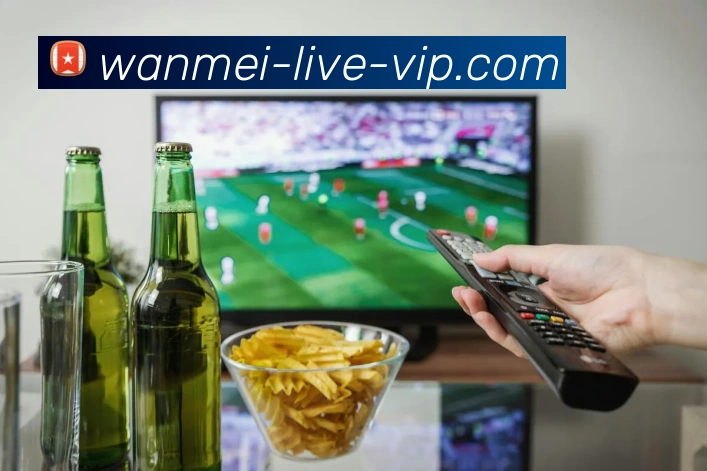 多媒体互动体验