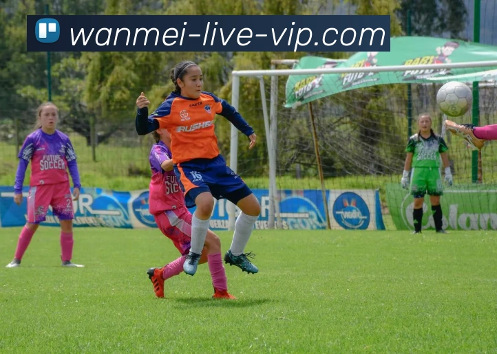 完美真人APP 高清赛事图